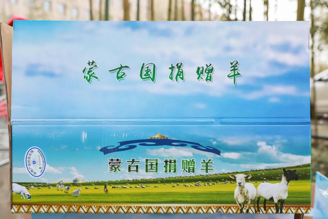 援鄂醫(yī)療隊：“暖羊羊”來啦！
