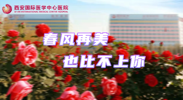 春風(fēng)再美，也比不上你……