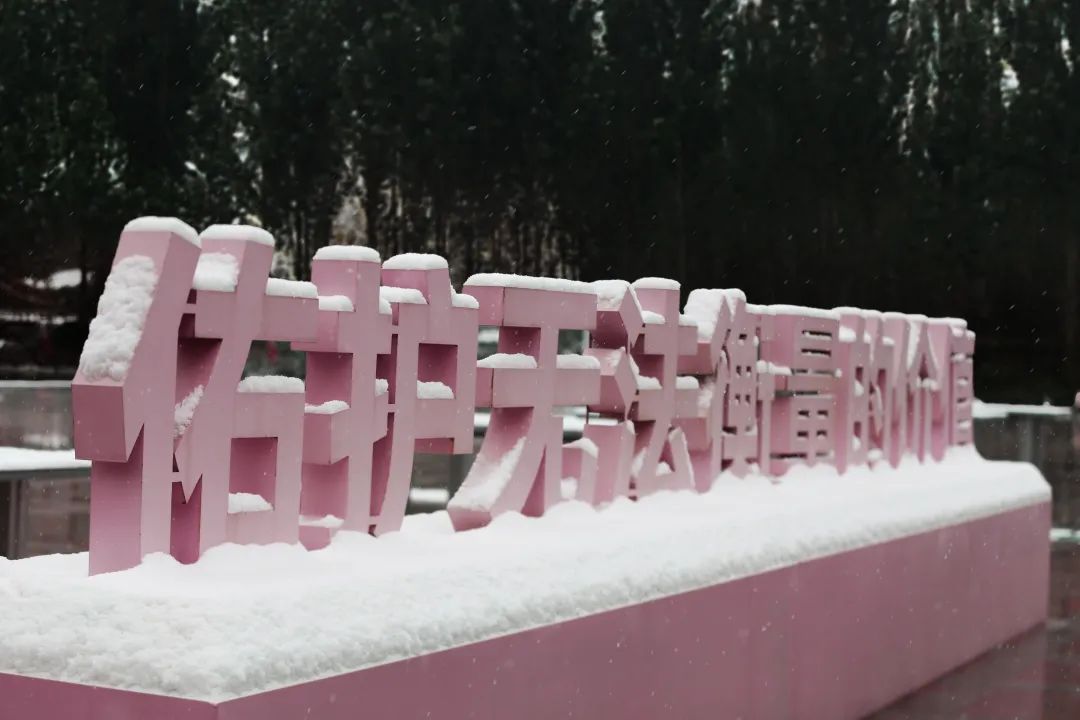 冬日限定｜國(guó)醫(yī)初雪